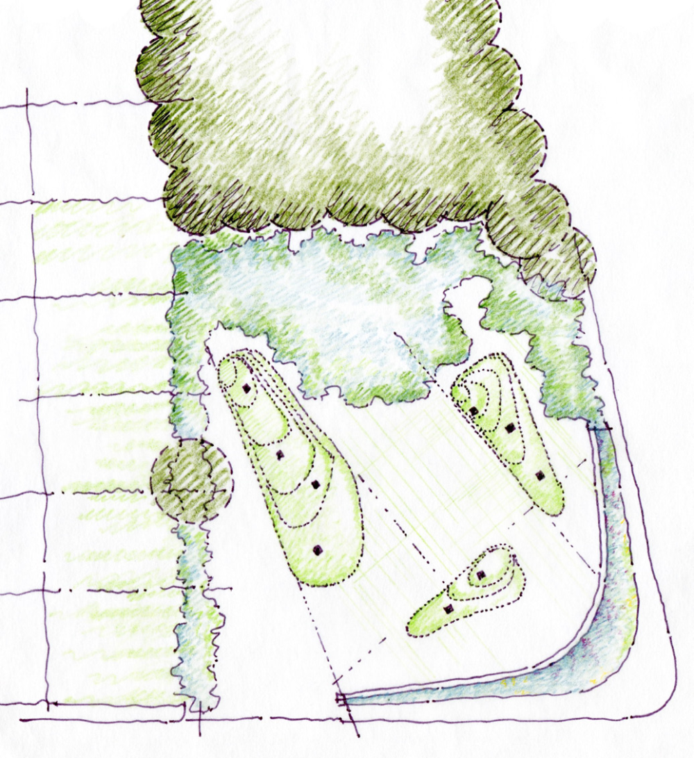Plan study — paving field and planting