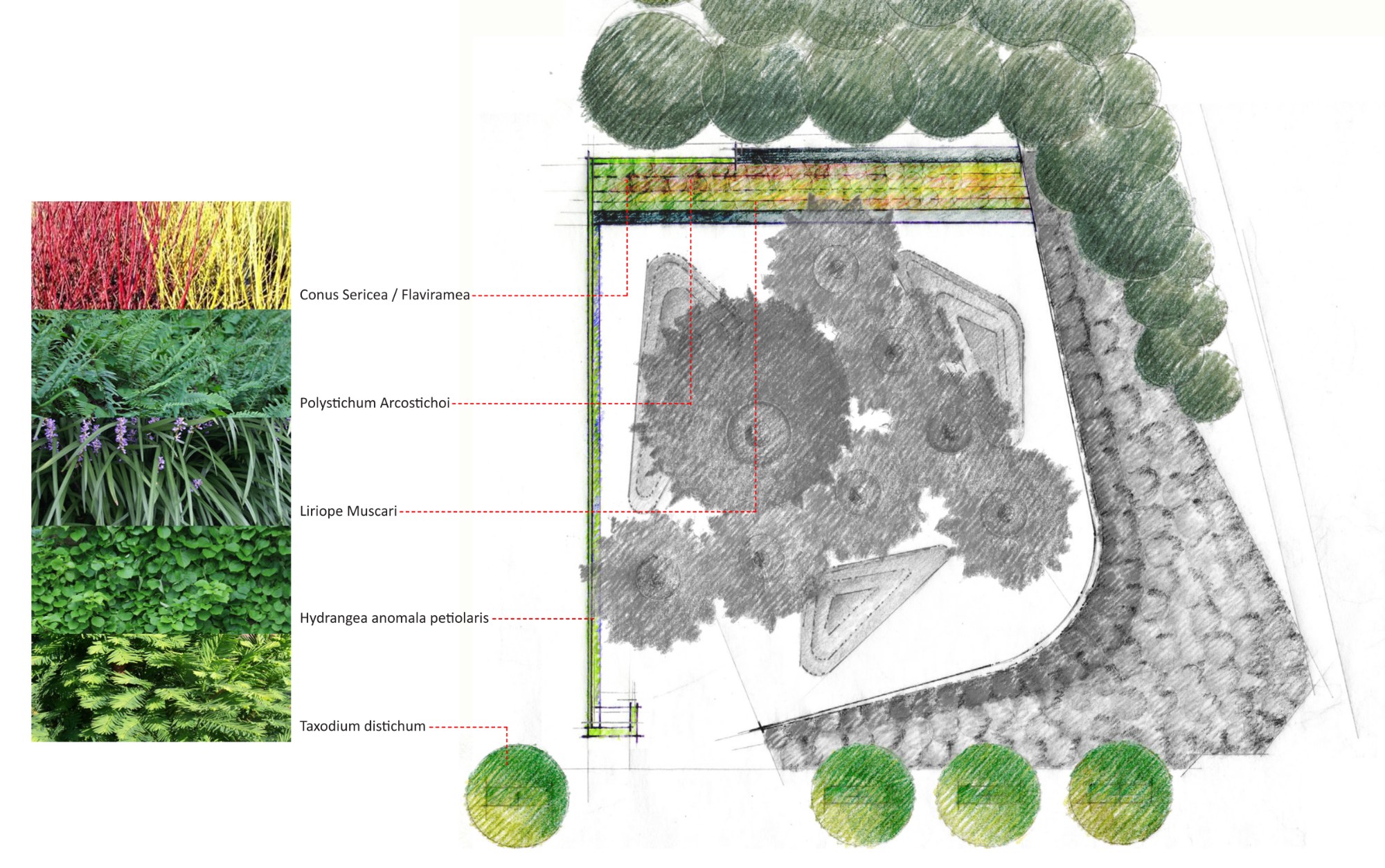 Legacy Memorial Park — Planting plan — bio-retention planting along the wall and street trees.